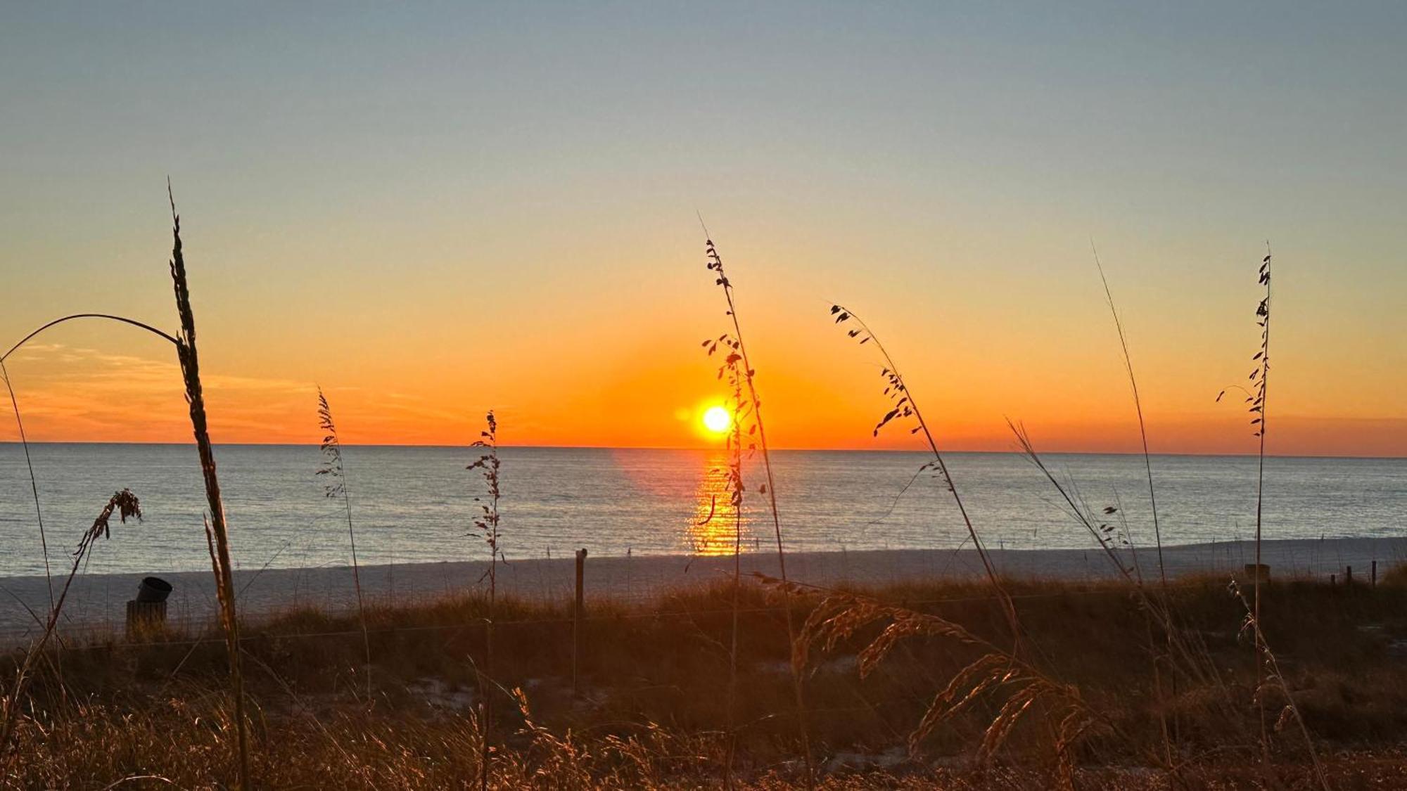 Tropic Winds 2303 Panama City Beach